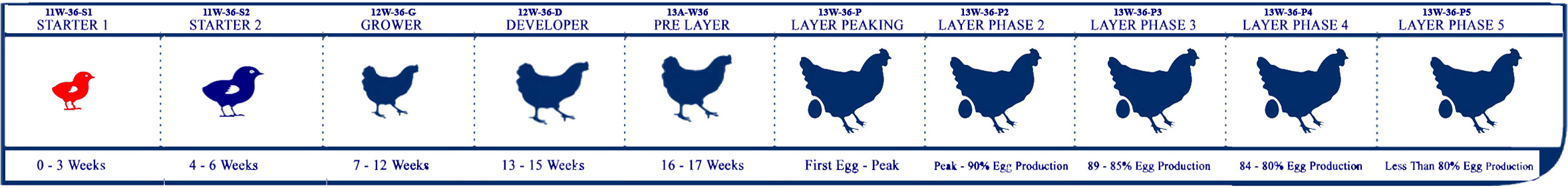 Starter Lifecycle