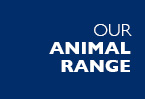 Our Animal Range